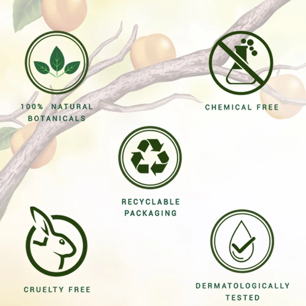Apricot refreshing body wash - Image 3
